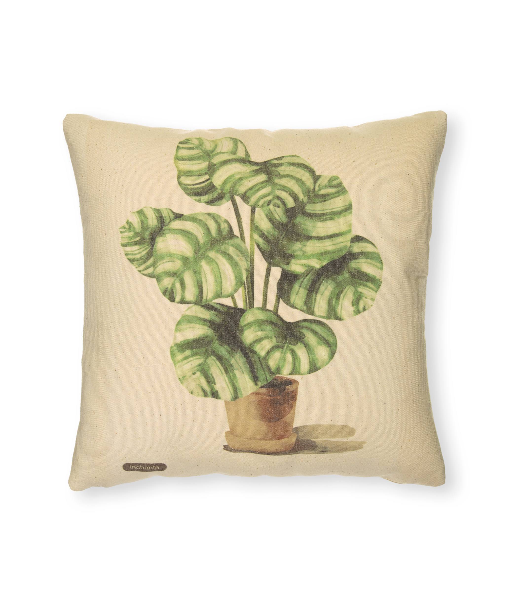 cotton-cushion-set-50×50-pots3